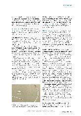 Vorschauseite 4: Traumata richtig behandeln