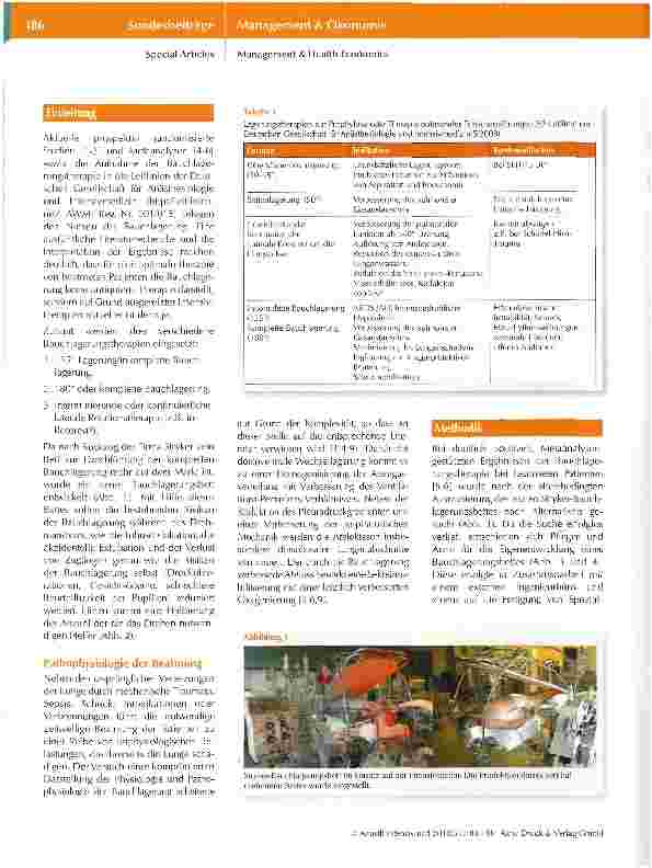 Vorschauseite 2: Vorstellung eines neu entwickelten Bettes zur Bauchlagerungstherapie des beatmeten Patienten
