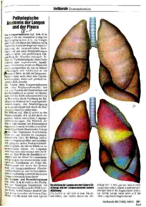 Vorschauseite 1: Pathologische Anatomie der Lungen und der Pleura