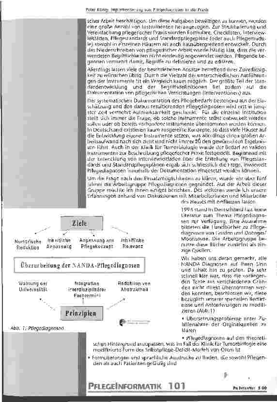 Vorschauseite 2: Implementation von Pflegediagnosen in der Praxis