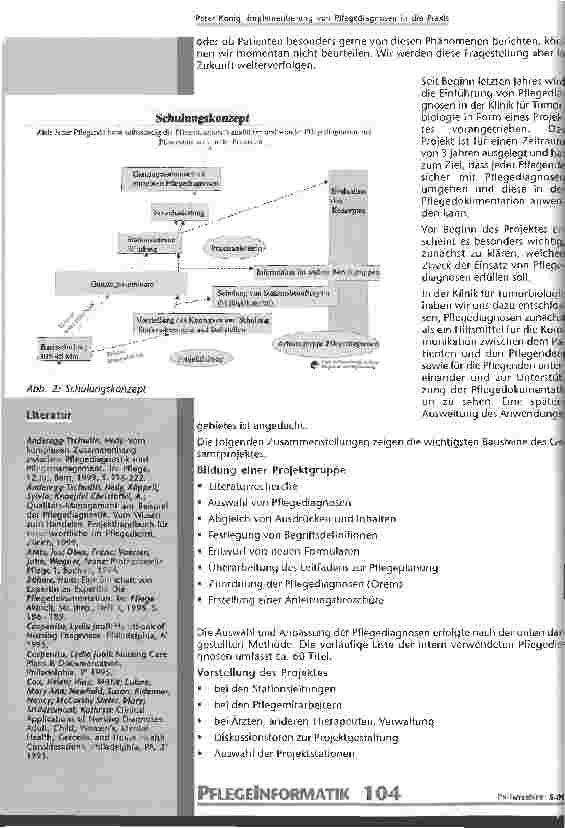 Vorschauseite 5: Implementation von Pflegediagnosen in der Praxis