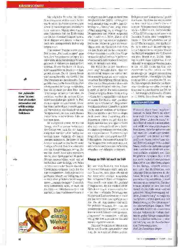 Vorschauseite 2: Wenn der Adrenalinsturm fehlt