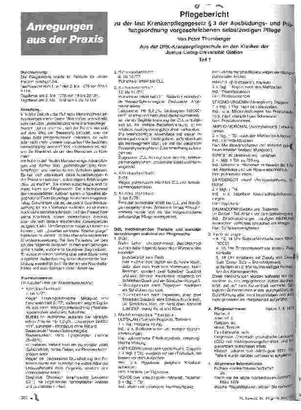 Vorschauseite 1: Pflegebericht
