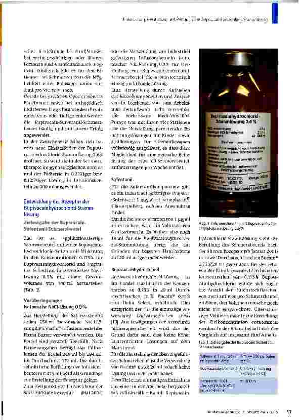 Vorschauseite 2: Bupivacainhydrochlorid-Stammlösung 2,6 % zur Anwendung in der Schmerztherapie
