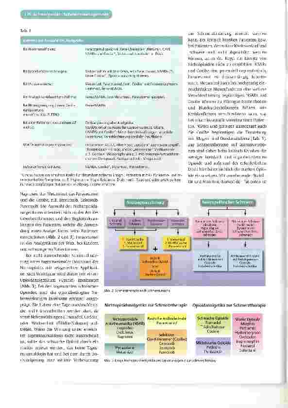 Vorschauseite 2: Akutschmerztherapie - postoperative Schmerztherapie