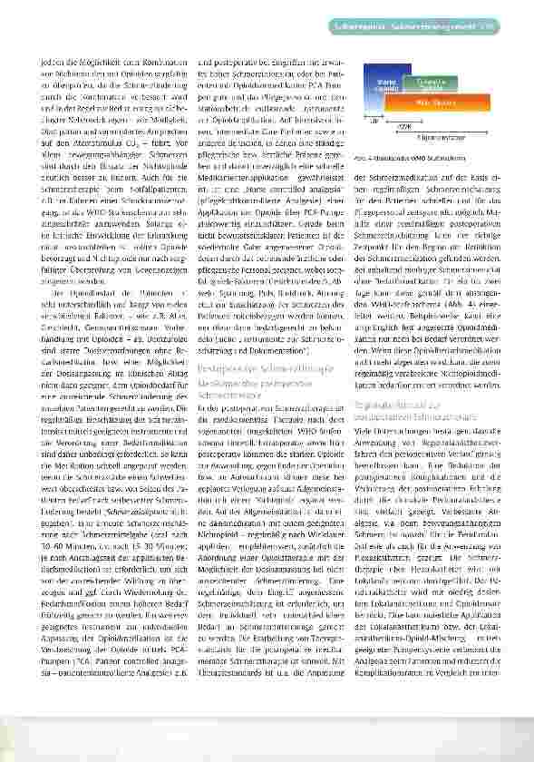 Vorschauseite 3: Akutschmerztherapie - postoperative Schmerztherapie