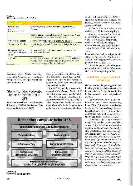 Vorschauseite 3: Die Bedeutung der Podologie bei der Prävention und Therapie des Diabetes-Fuß-Syndroms (DFS) -die „Fuß Perestroika in Deutschland