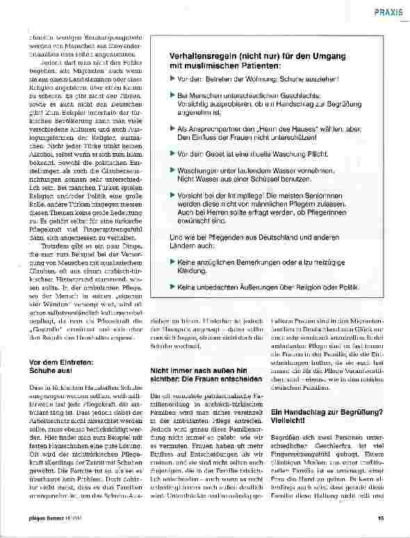 Vorschauseite 2: Es gibt nicht den Türken