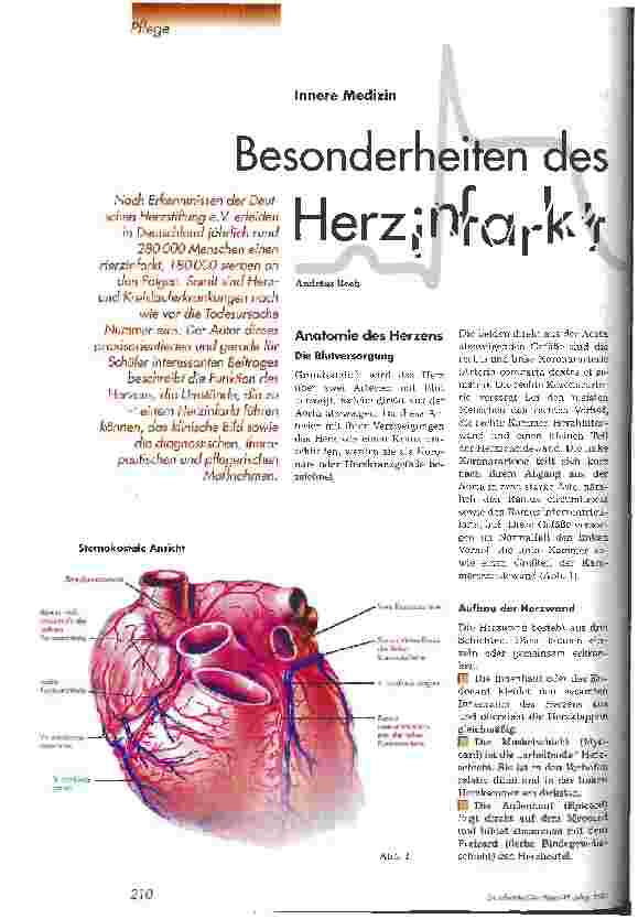 Vorschauseite 1: Besonderheiten des Herzinfarkt