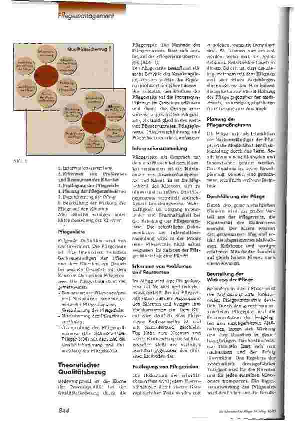 Vorschauseite 2: Pflegevisite auf der Intensivstation Qualitätssicherung