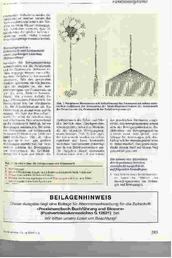 Vorschauseite 3: Prinzipien der Kybernetik im Wogischen Bereich (Steuermannskunst)