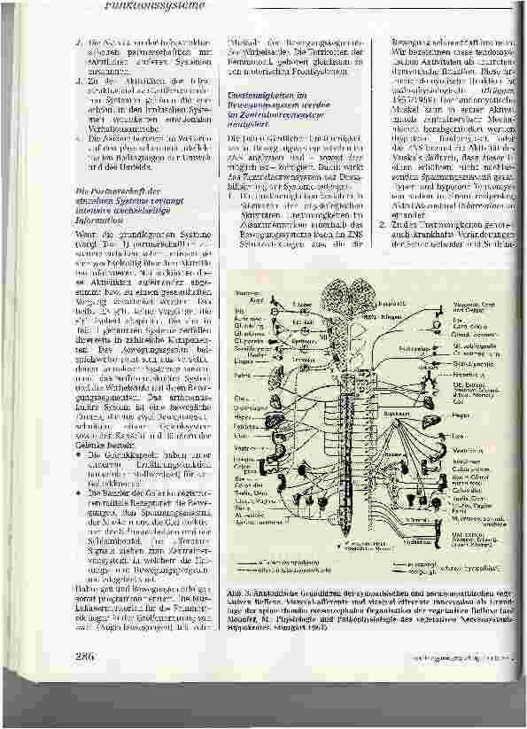 Vorschauseite 4: Prinzipien der Kybernetik im Wogischen Bereich (Steuermannskunst)