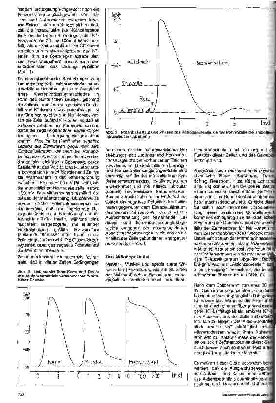 Vorschauseite 2: Elektrophysiologische Grundlagen, Einsatzbereich und allgemeine sicherheitstechnische Aspekte des EKG-Monitorrings - Teil 1