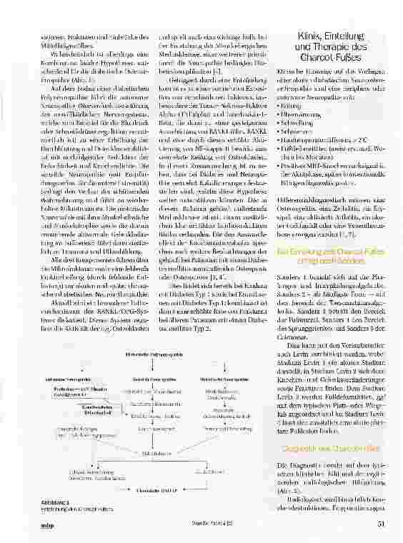 Vorschauseite 2: Pathophysiologie und konservative Therapie des Charcot-Fußes