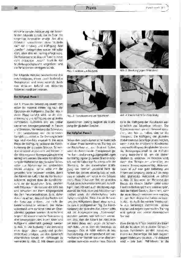 Vorschauseite 2: Der Hüftpfad - fachspezifische Theorie und deren Therapierelevanz