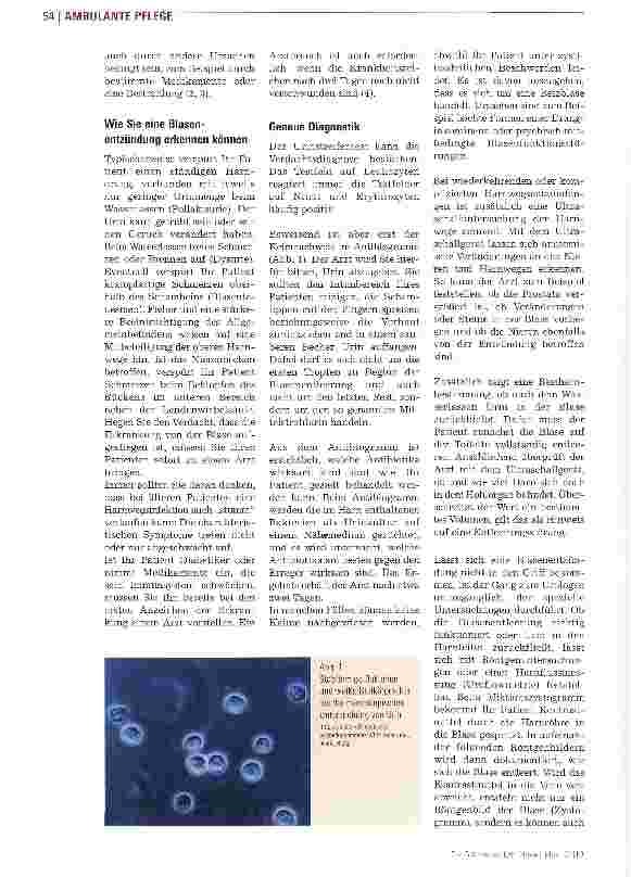 Vorschauseite 3: Im Alter verlaufen Infektionen häufig „stumm