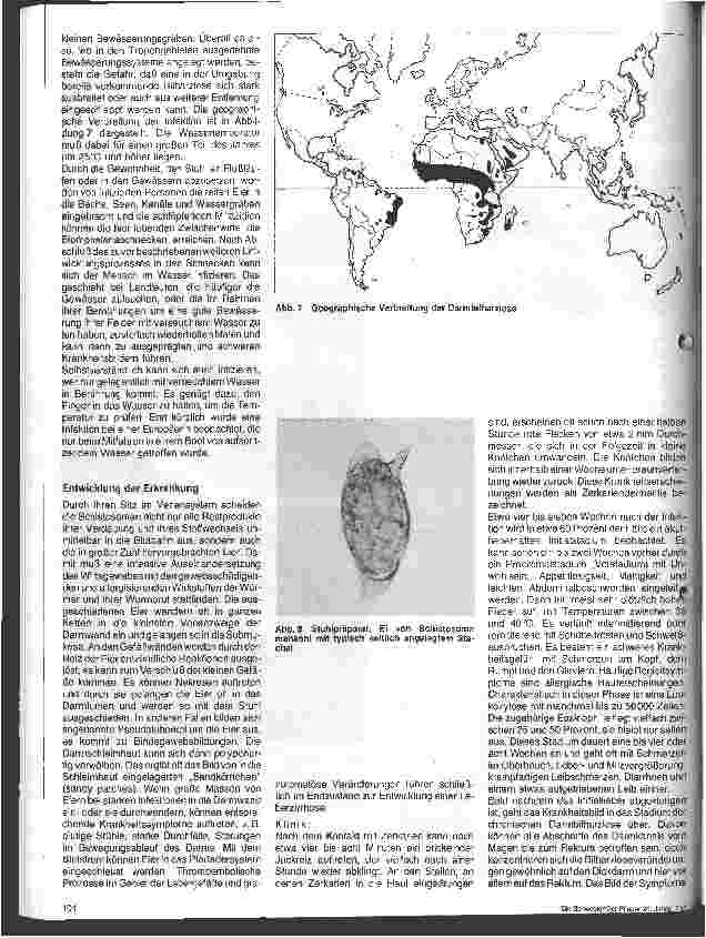 Vorschauseite 3: Wurminfektionen - Schistosomiasis