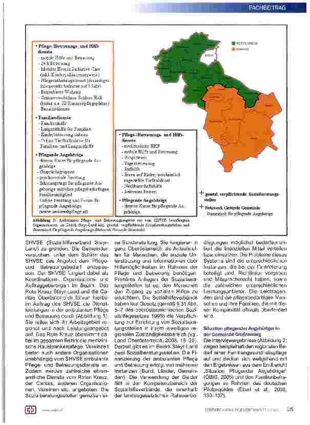 Vorschauseite 2: Familiengesundheitspflege als Erweiterung der Pflege zu Hause im Bezirk Steyr-Land (OÖ)
