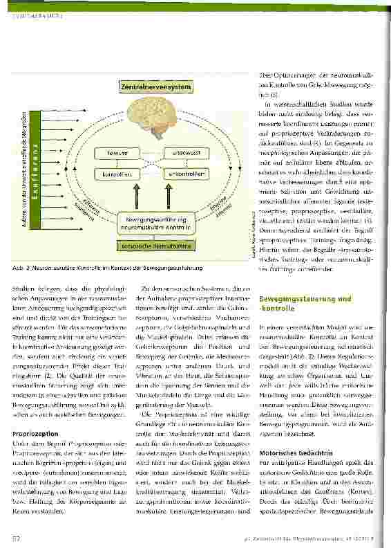 Vorschauseite 2: Neuromuskuläre Kontrolle im Sport