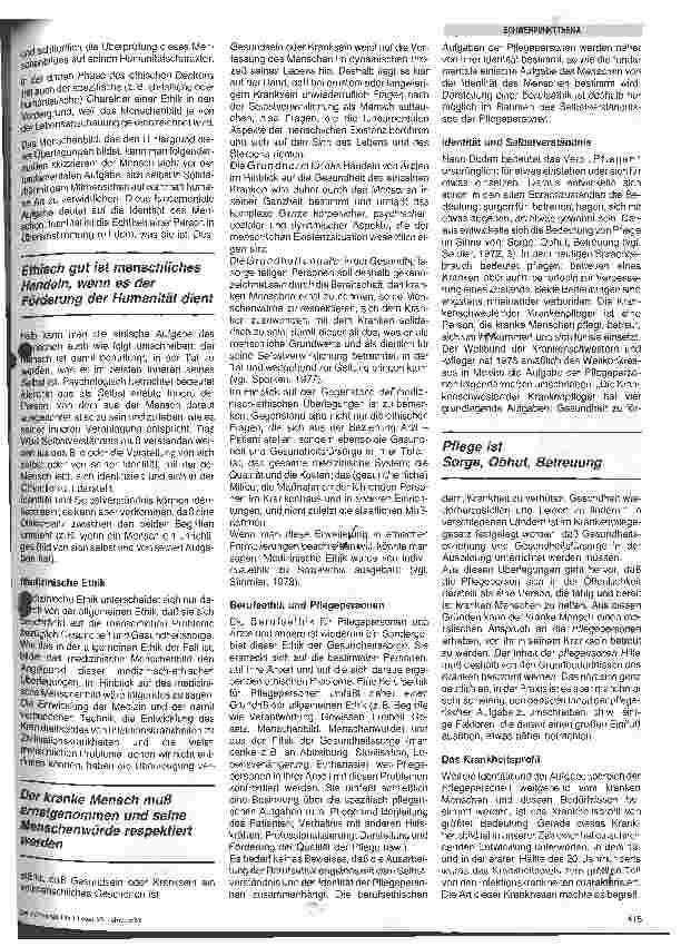 Vorschauseite 2: Die Identität der Pflegepersonen im Hinblick auf ihre Berufsethik, die Professionalisierung und die Qualität ihrer Arbeit