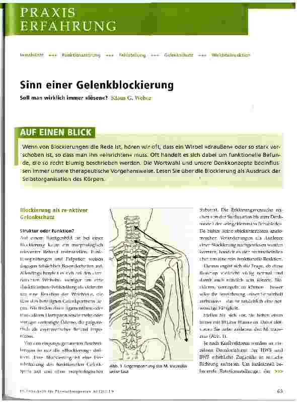 Vorschauseite 1: Sinn einer Gelenkblockierung