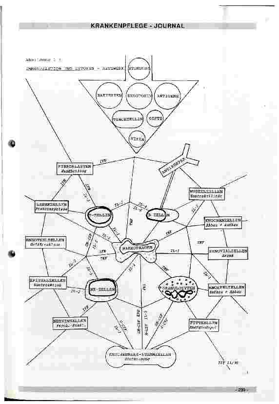 Vorschauseite 3: Immuntherapie mit Interleukin 2