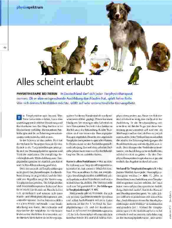 Vorschauseite 1: Alles scheint erlaubt