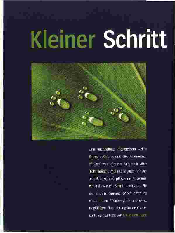 Vorschauseite 1: Kleiner Schritt kein großer Sprung