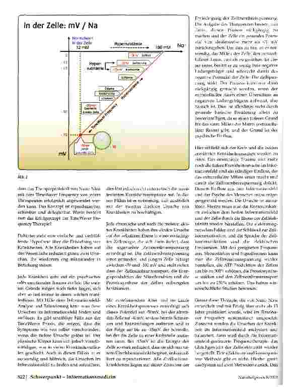 Vorschauseite 2: Informationsfeldgesteuerte FrequenztherapieIntegrative Medizin nach Nuno Nina