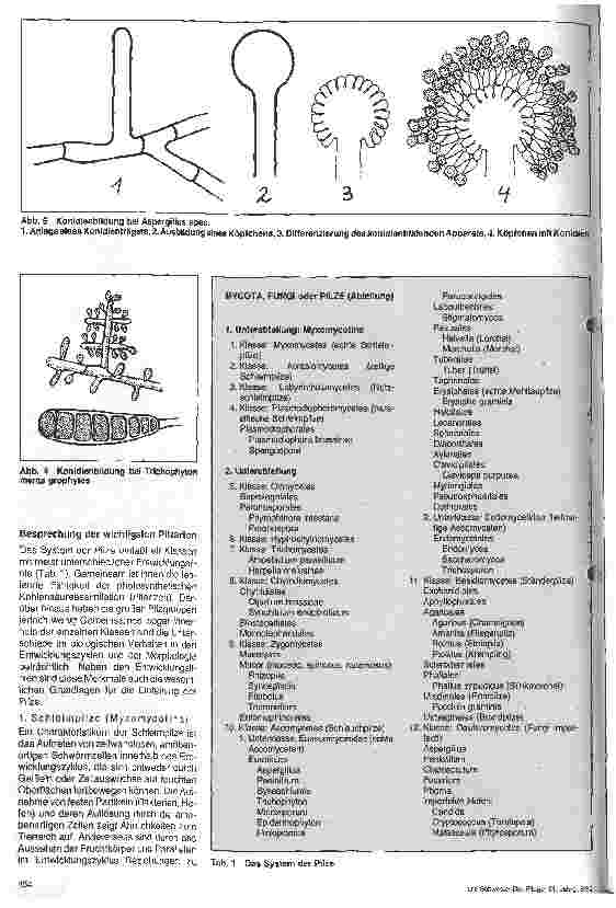 Vorschauseite 3: Grundlagen der Mikrobiologie