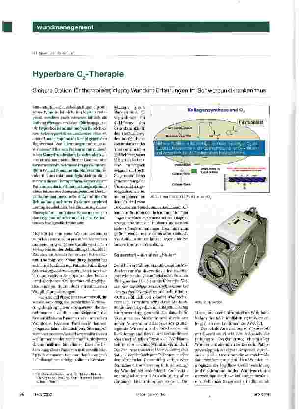 Vorschauseite 1: Hyperbare O2-Therapie