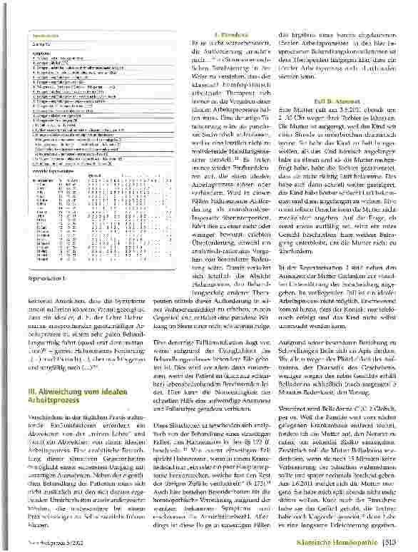 Vorschauseite 3: Pragmatismus -eine Form des Gesetzesbruchs?