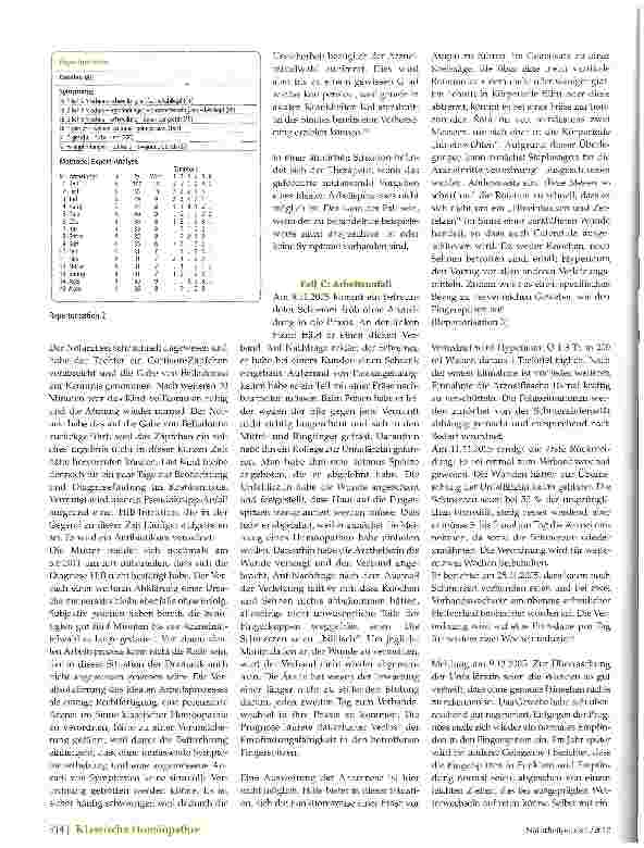 Vorschauseite 4: Pragmatismus -eine Form des Gesetzesbruchs?