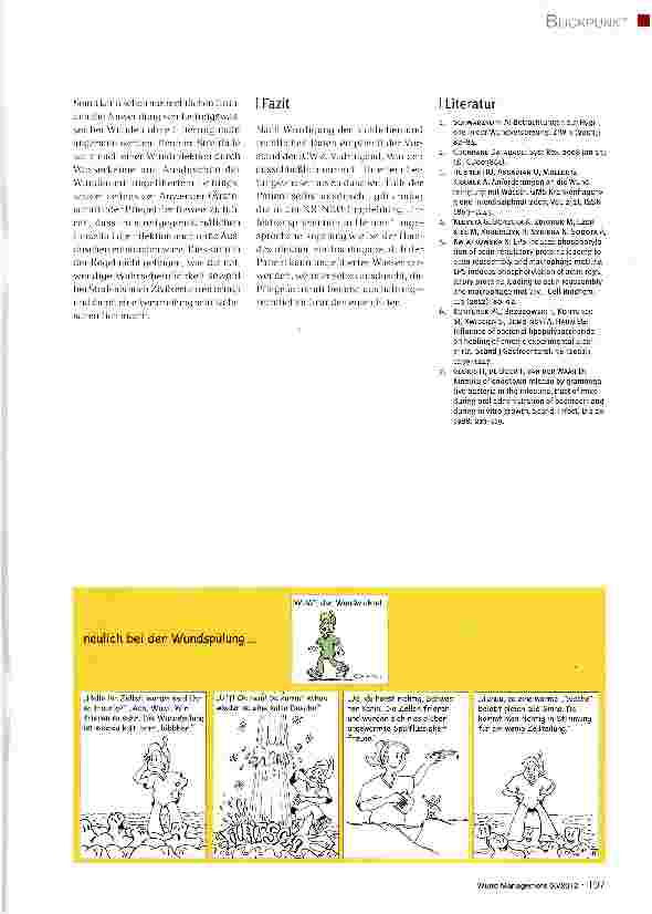 Vorschauseite 3: Hygienefachliche und -rechtliche Bewertung der Anwendung von Leitungswasser als Wundspüllösung
