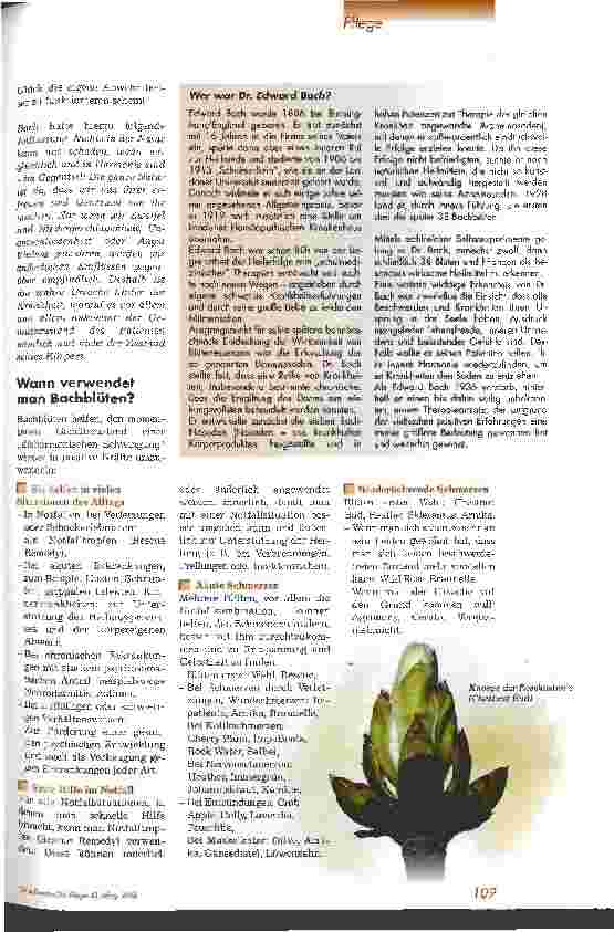 Vorschauseite 2: Bachblütentherapie bei Kindern