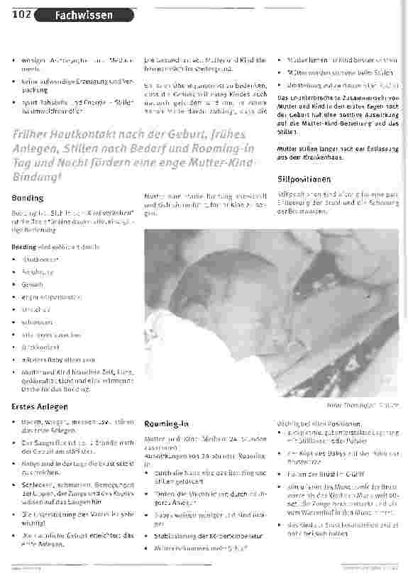 Vorschauseite 3: STILLEN - SICHTBAR MACHEN! Facharbeit im Rahmen des VELB Ausbildungsprogrammes zur Stillund Laktationsberaterin IBCLC