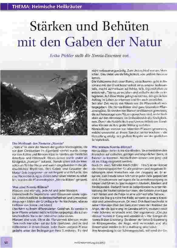 Vorschauseite 1: Stärken und Behüten mit den Gaben der Natur