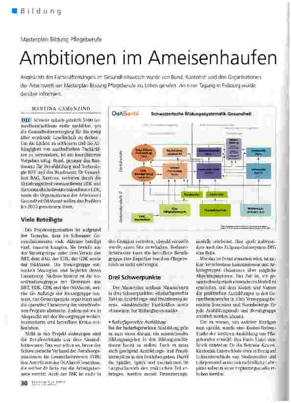 Vorschauseite 1: Masterplan Bildung Pflegeberufe Ambitionen im Ameisenhaufen