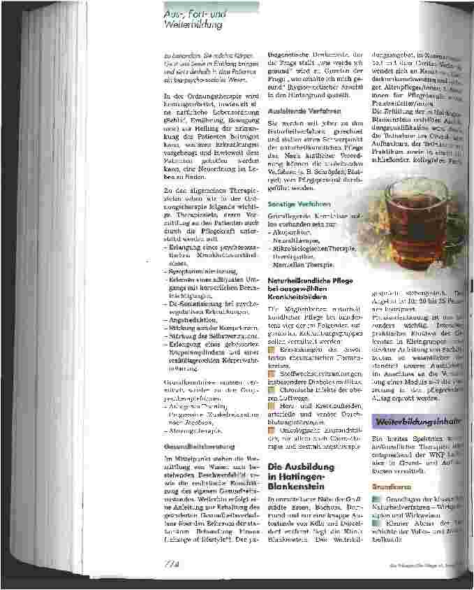 Vorschauseite 5: Leitlinien zur Weiterbildung Naturheilkundliche Pflege