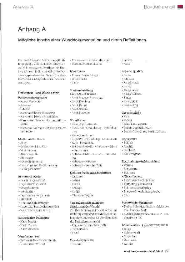 Vorschauseite 1: Anhang A Mögliche Inhalte einer Wunddokumentation und deren Definitionen