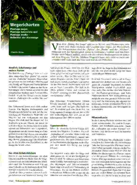 Vorschauseite 1: Wegericharten