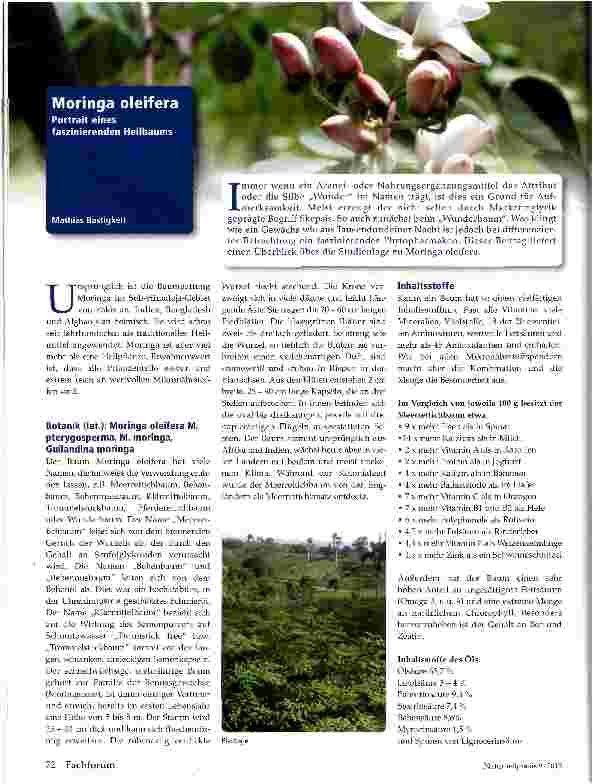 Vorschauseite 1: Moringa oleifera