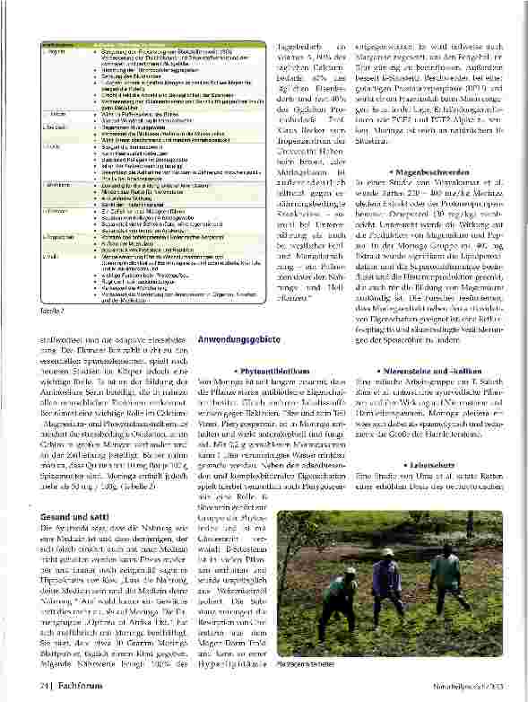 Vorschauseite 3: Moringa oleifera