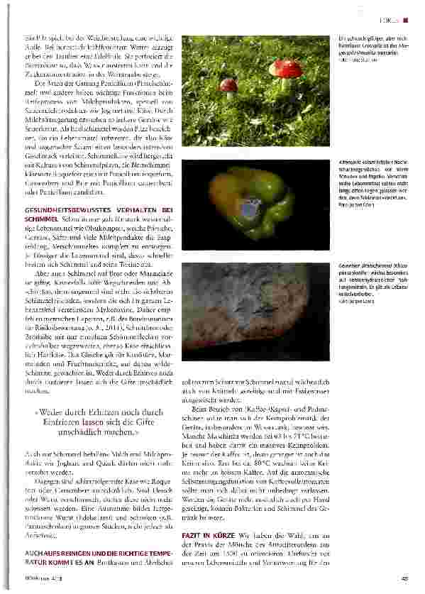 Vorschauseite 2: Guter Schimmel, schlechter Schimmel