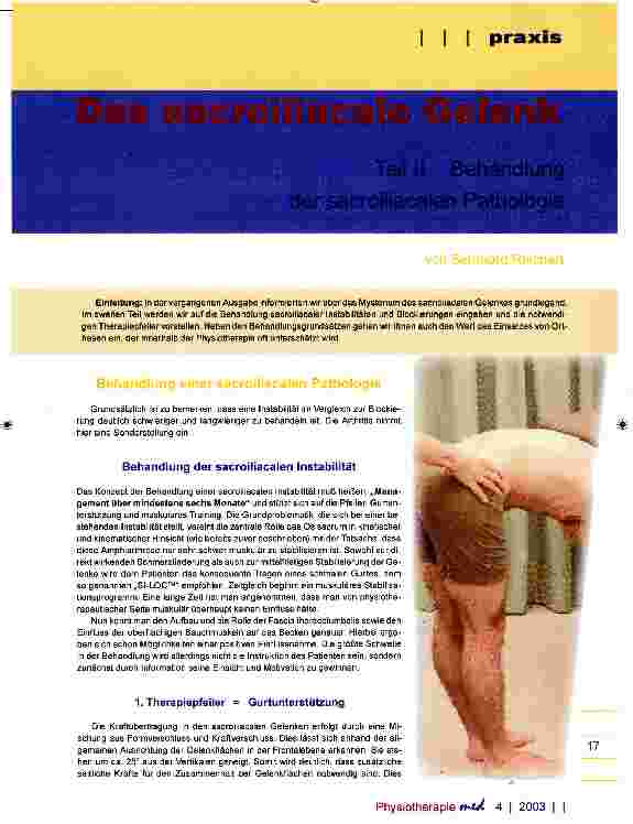 Vorschauseite 1: Das sacroiiliacale Gelenk