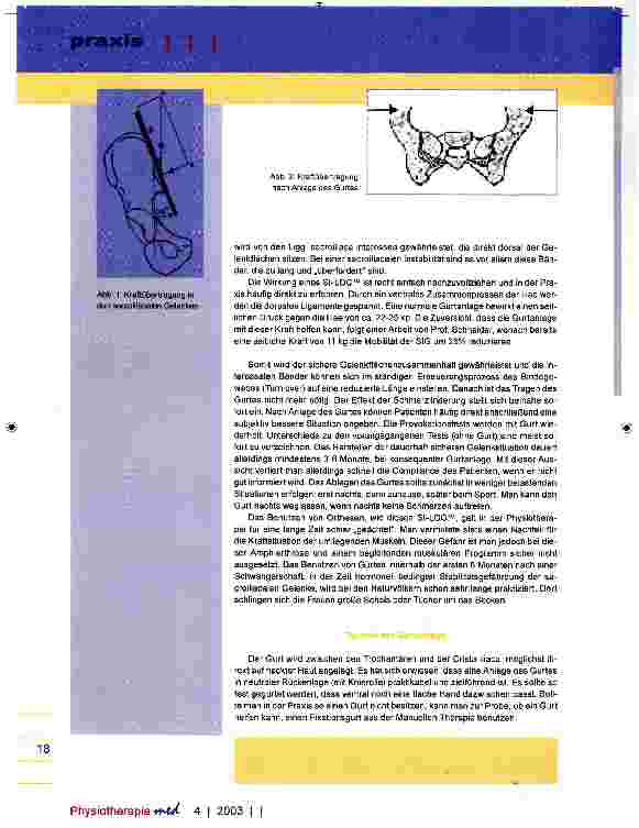 Vorschauseite 2: Das sacroiiliacale Gelenk