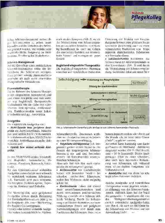 Vorschauseite 2: Schmerzmanagement Wunden und Schmerz, Teil 3