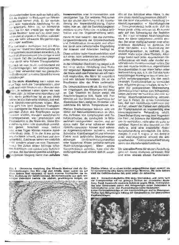 Vorschauseite 5: Immunologie und Klinik der Nierentransplantation 5.Folge: Die Funktion der transplantierten Niere