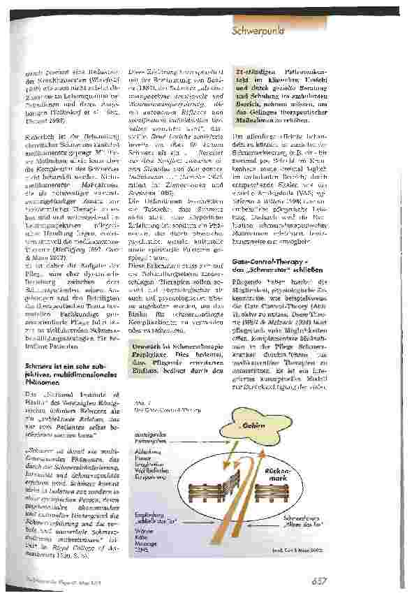Vorschauseite 2: Schmerzmanagement - Aufgabe der Pflege?