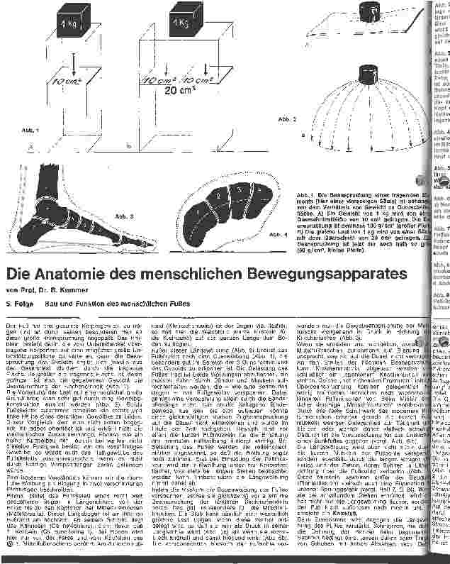 Vorschauseite 1: Die Anatomie des menschlichen Bewegungsapparates 5. Folge: Bau und Funktion des menschlichen Fußes